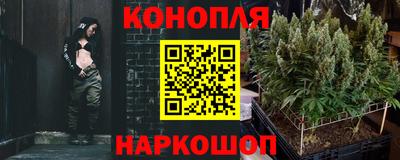 шишки Донецк