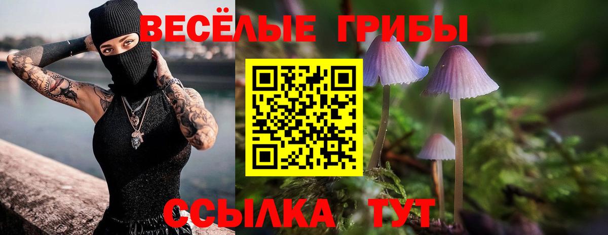 Псилоцибиновые грибы Magic Shrooms Хабаровск