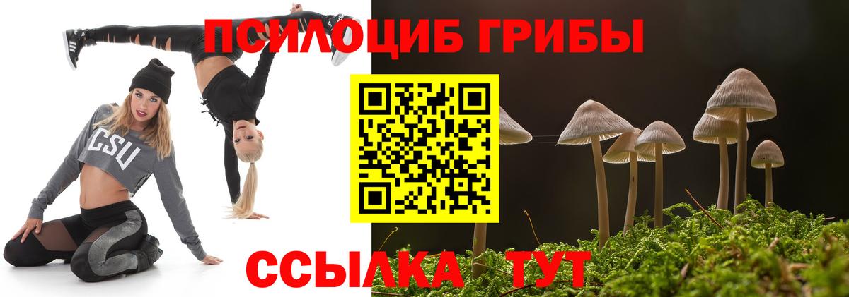 Галлюциногенные грибы Magic Shrooms  Вход с VPN  Хабаровск 